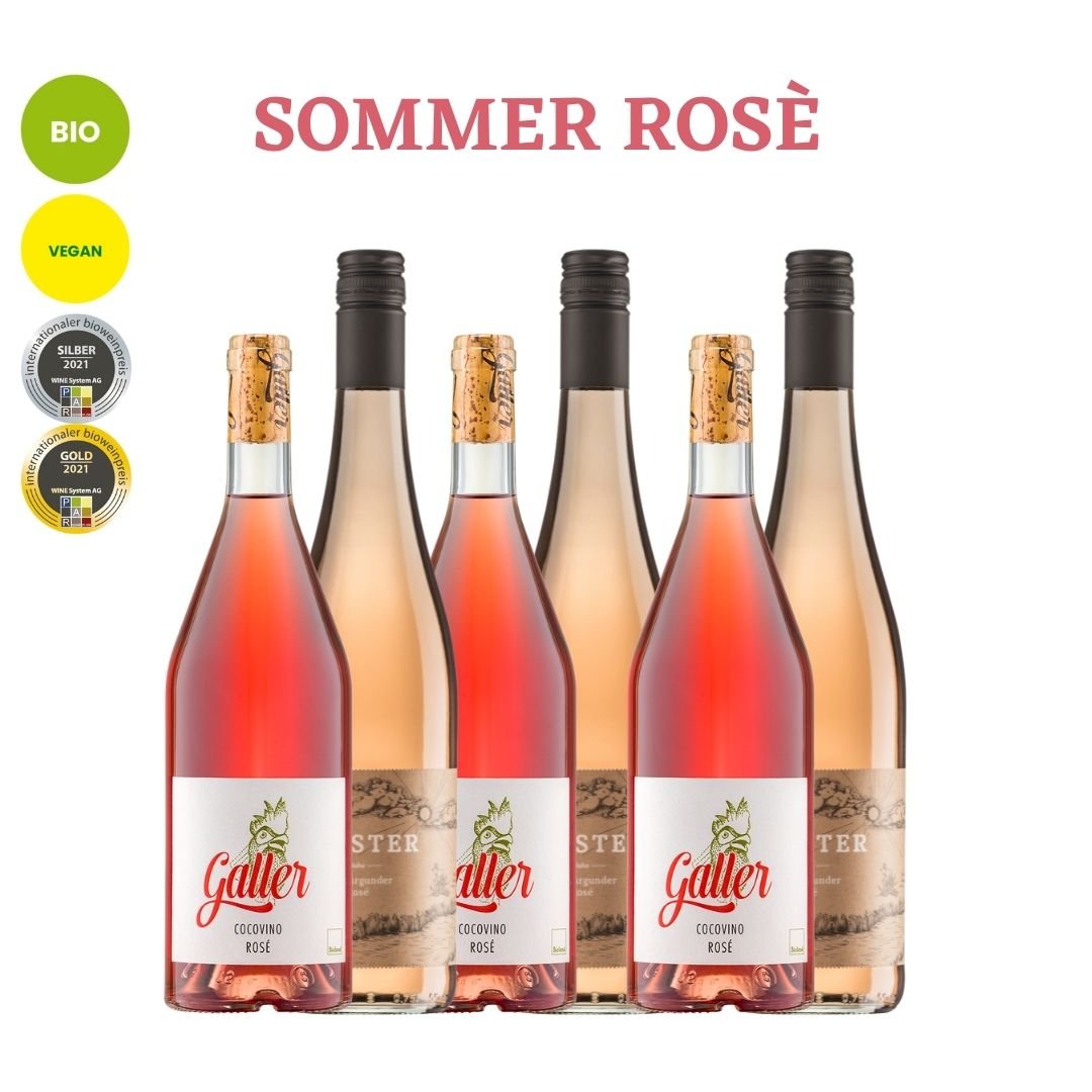 Probierpaket | Deutsche Rosé | 6 x 0,75 l Weingut Forster / Weingut Galler
