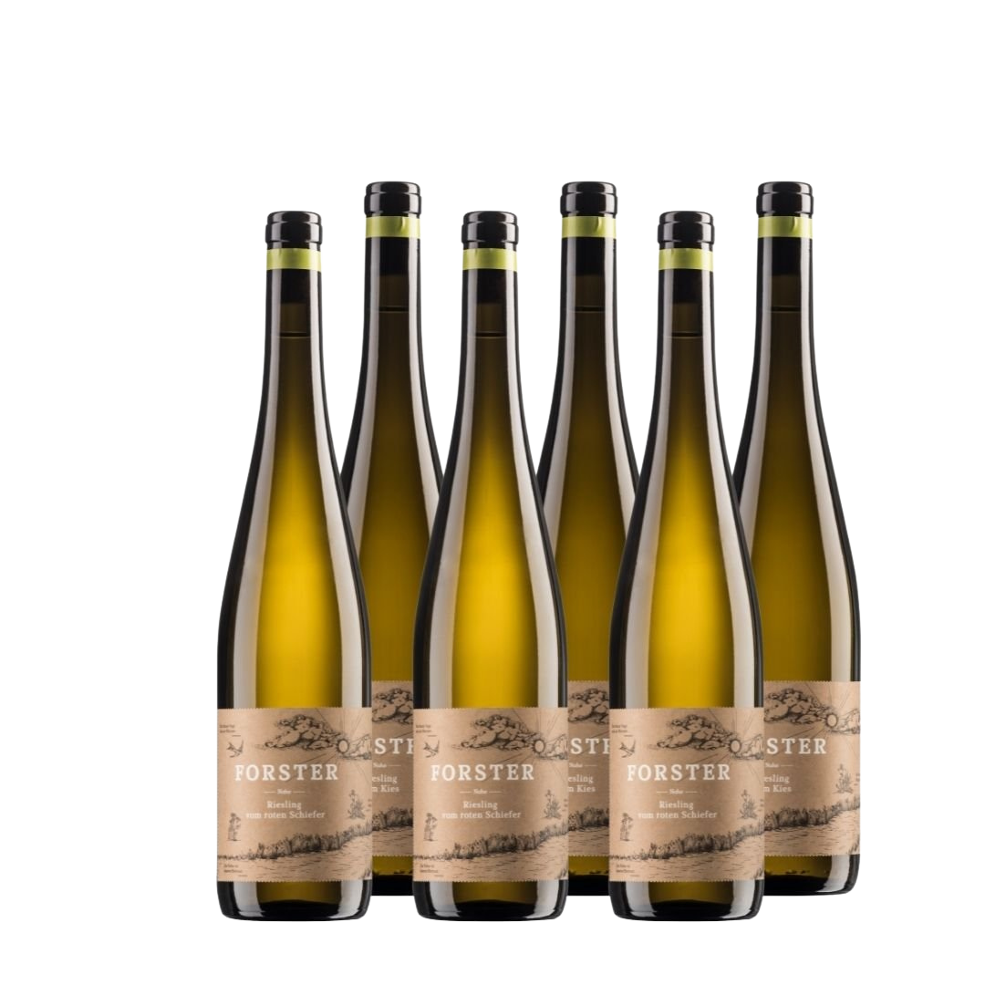 Probierpaket | Weingut Forster | 6 x 0,75 l