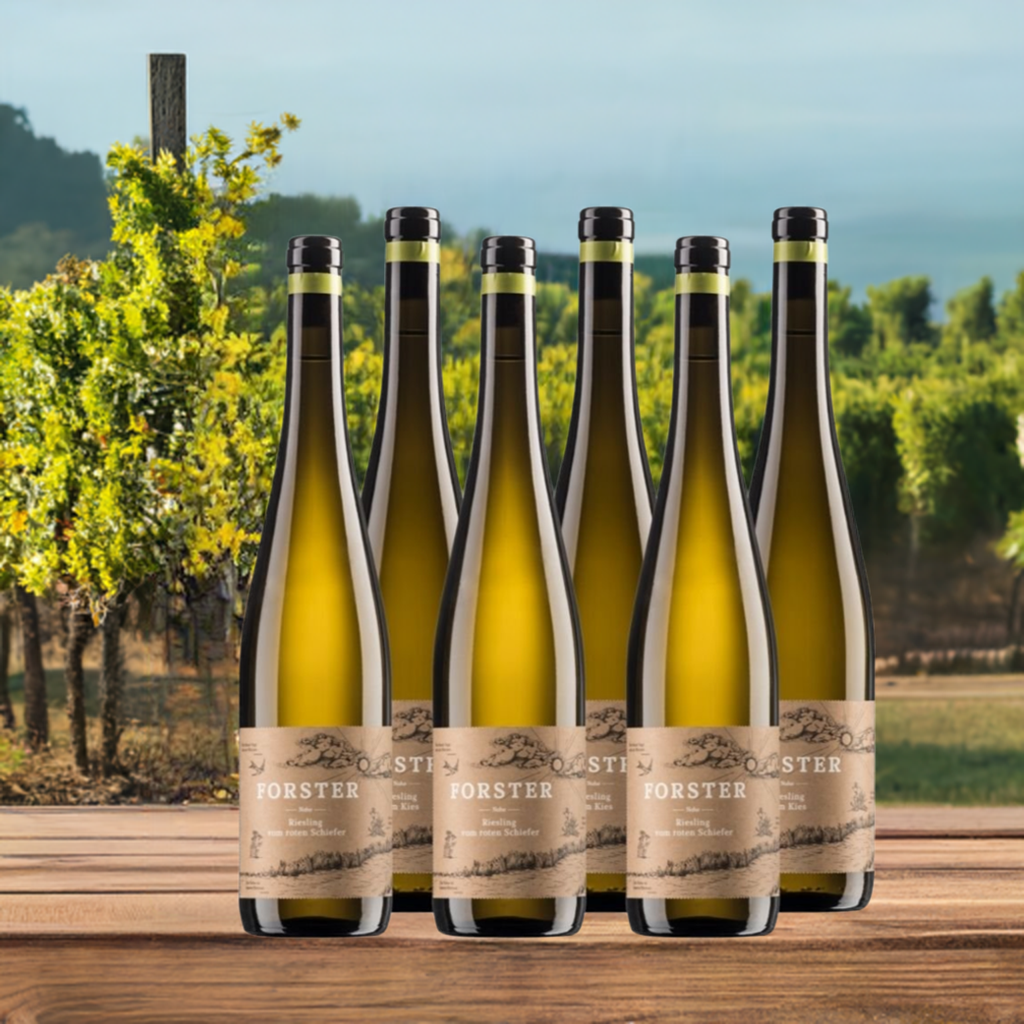 Probierpaket | Weingut Forster | 6 x 0,75 l