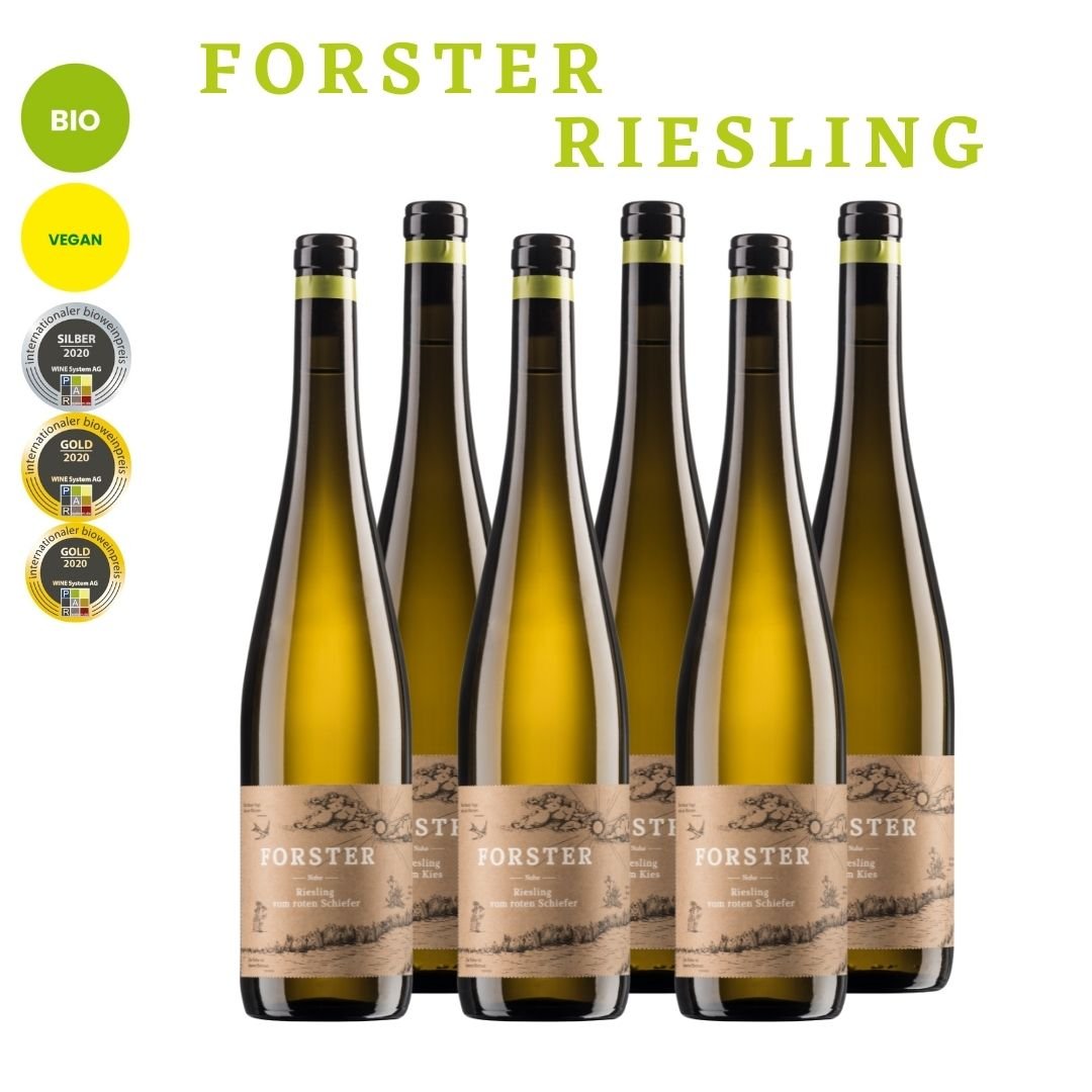 Probierpaket | Weingut Forster | 6 x 0,75 l Weingut Forster